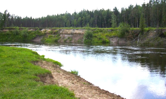 река Унжа сплав по рекам Кострома, водный туризм Кострома, походы по рекам Костромской области, реки Костромской области, 