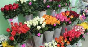 кострома цветы, доставка цветов кострома, цветочные магазины в костроме, магазин цветов Азалия Кострома