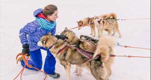 Экспедиция на собачьих упряжка Тропой Ивана Сусанина 2015