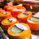 Сырная биржа в Костроме переехала