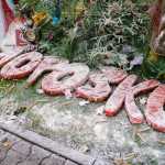 День города Кострома  — фото