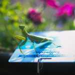 Форум Таврида 2016 — Журналисты