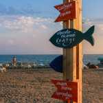 Форум Таврида 2016 — Журналисты