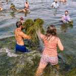 Форум Таврида 2016 — Журналисты